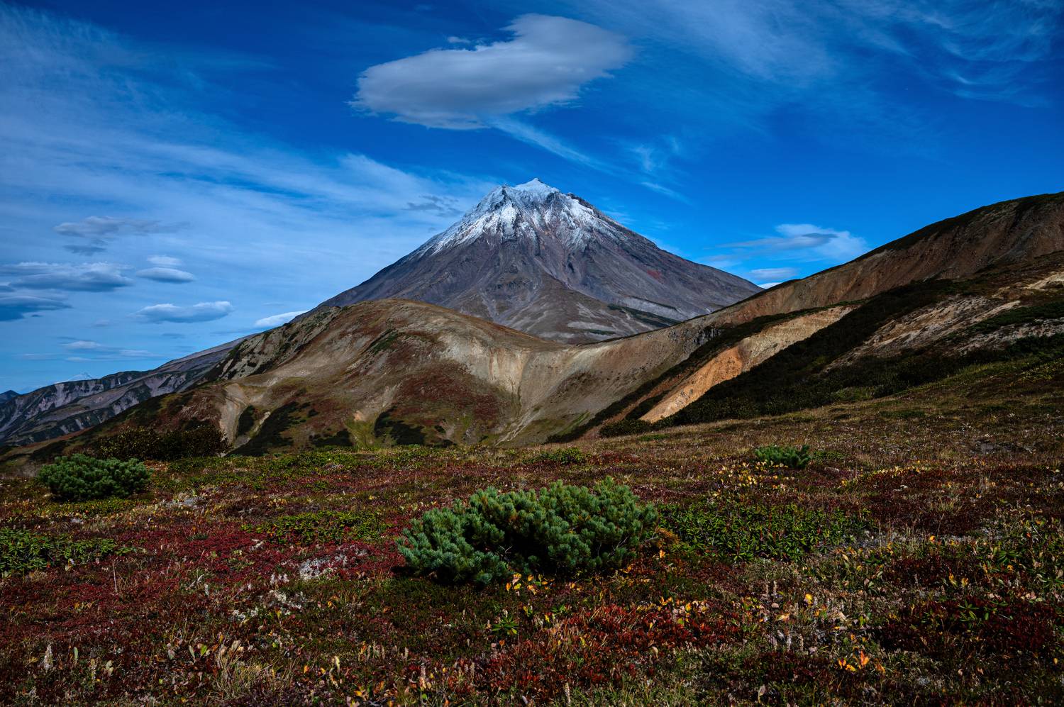 , Александр Мухин