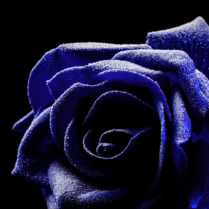 предметка, предметная фотография  фото превью