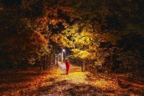 Вход в парк