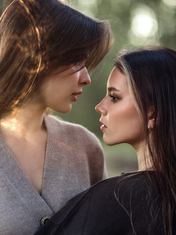 сумерки  фото превью