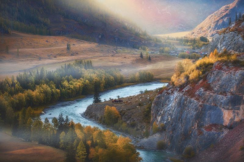 алтай, осень, чуя, чуйский тракт, путешествие, природа, горы, лошади Алтайская осень. фото превью