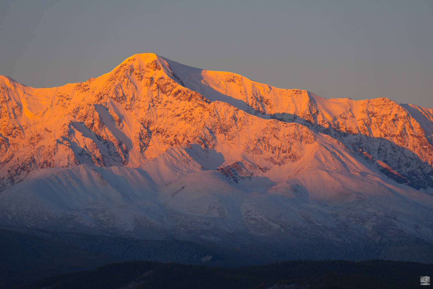 , Ковалев Дмитрий