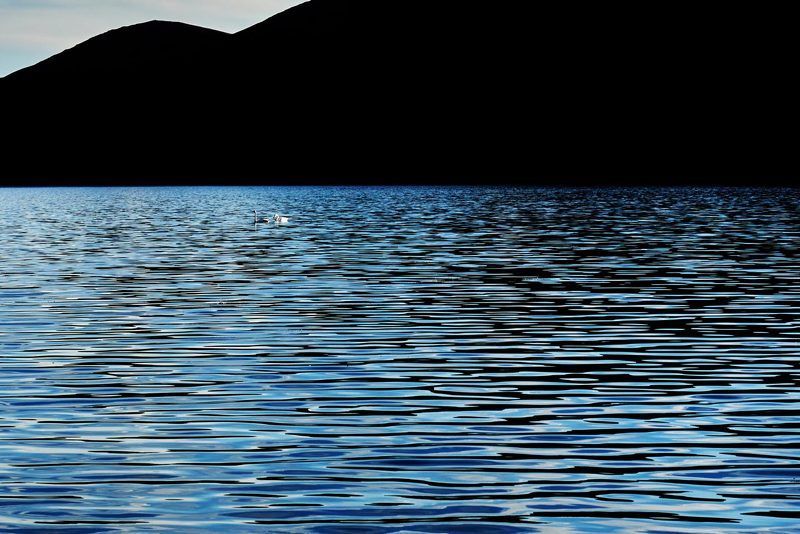 Лебединое озеро фото превью