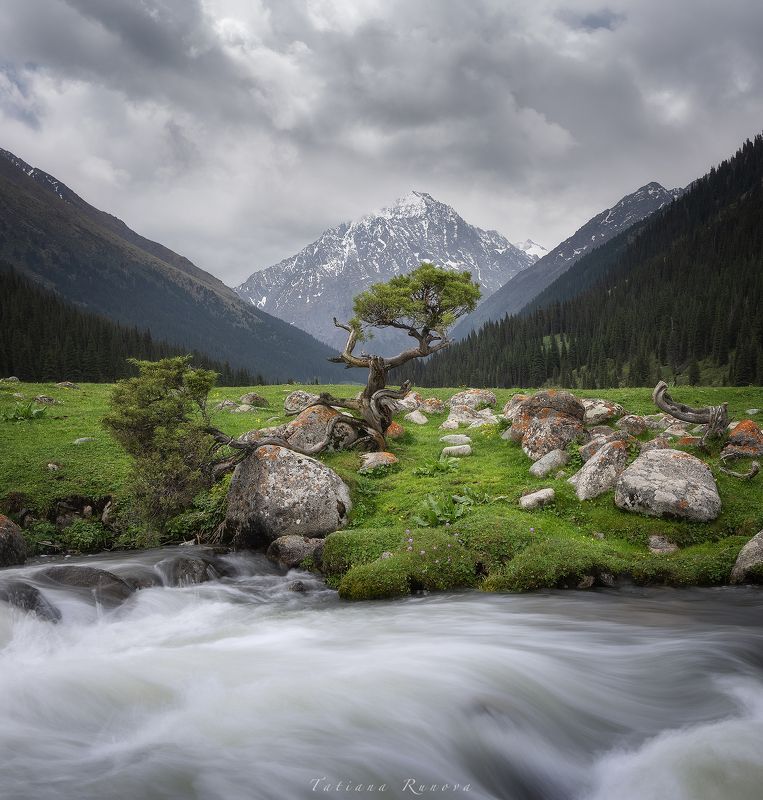 Одинокая арча фото превью