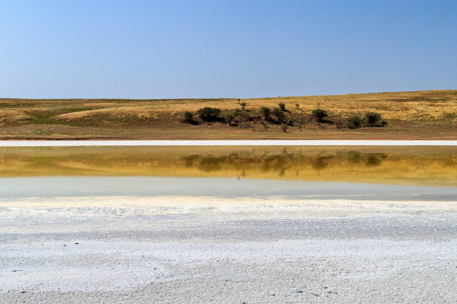 , Сандев Александър