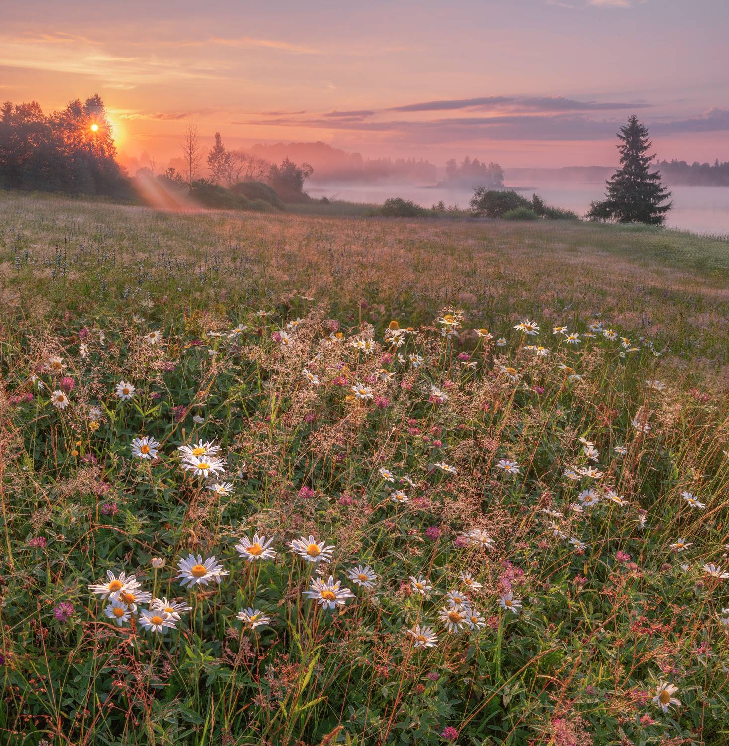 Фототуры с Владимиром Рябковым, #topnature #russpasibo #magic_shots #lovelyRussia #sunset_vision #exclusive_sky  #exclusive_shots #loves_russia2 #photoarena_nature #nature_sultans #nature_perfection #rsa_sky #rsa_sunset #photorussia #rsa_naturepics #sunse, Владимир Рябков