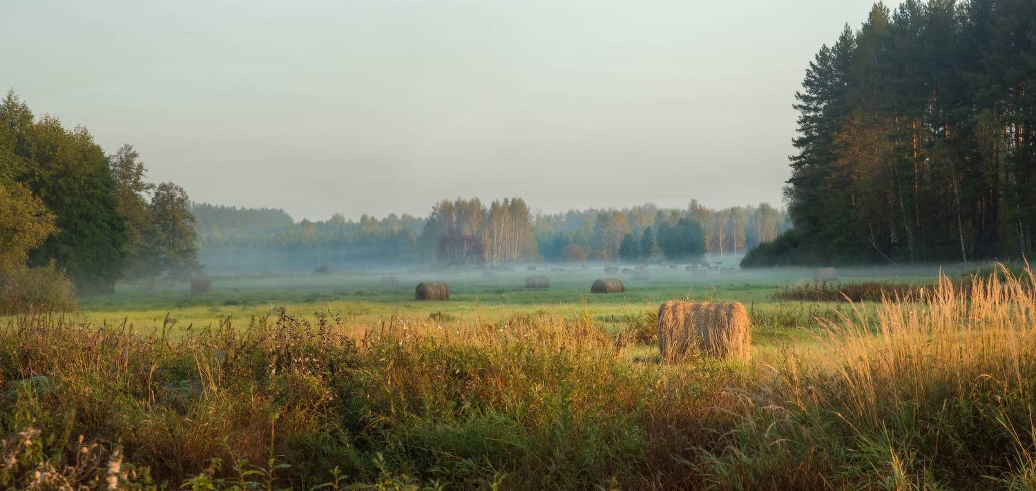 утро туман пойма речка суворощь валки, Алексеев Дмитрий