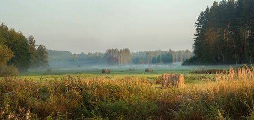 Рассвет на р. Суворощь
