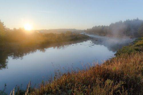 У тихой реки