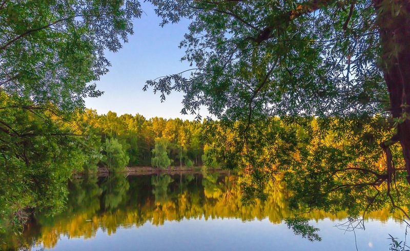Тишь да гладь. фото превью