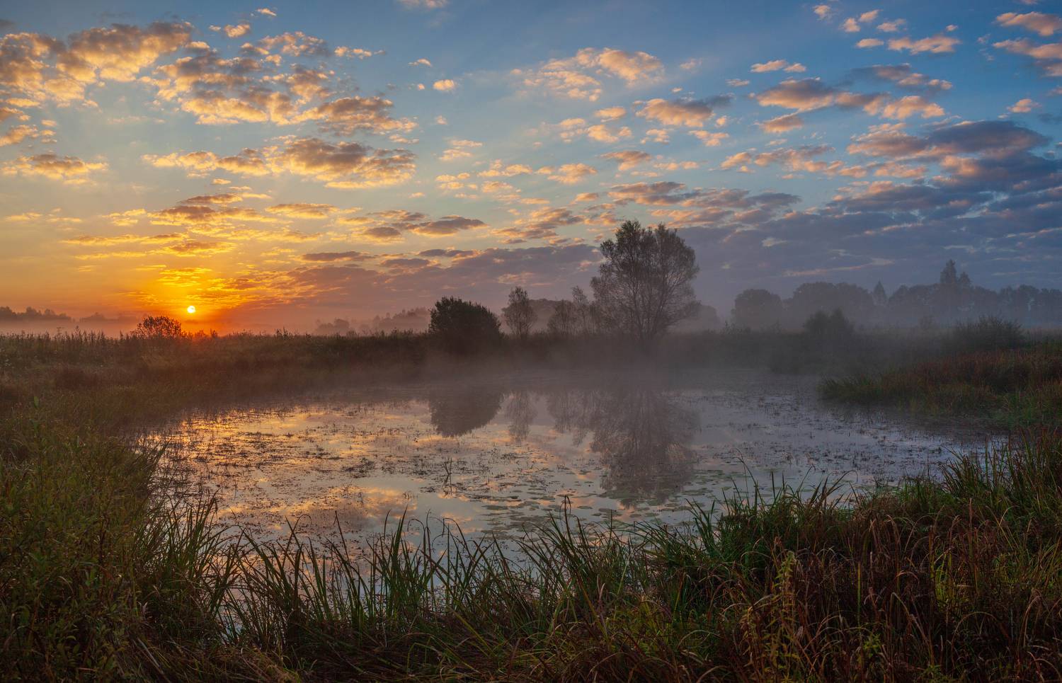 рассвет, пруд, солнце, Свистков Александр