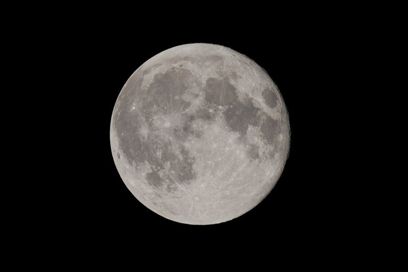 луна Луна фото превью