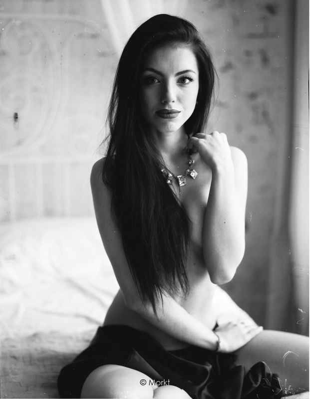плёнка, большой формат, film, large format, 4x5  фото превью