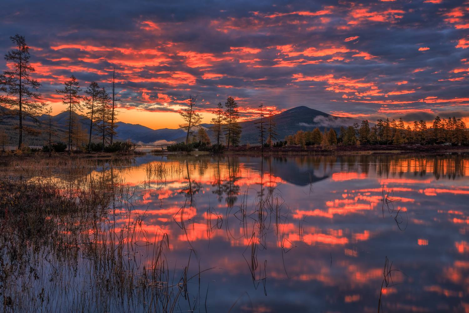 , Евдокимов Максим