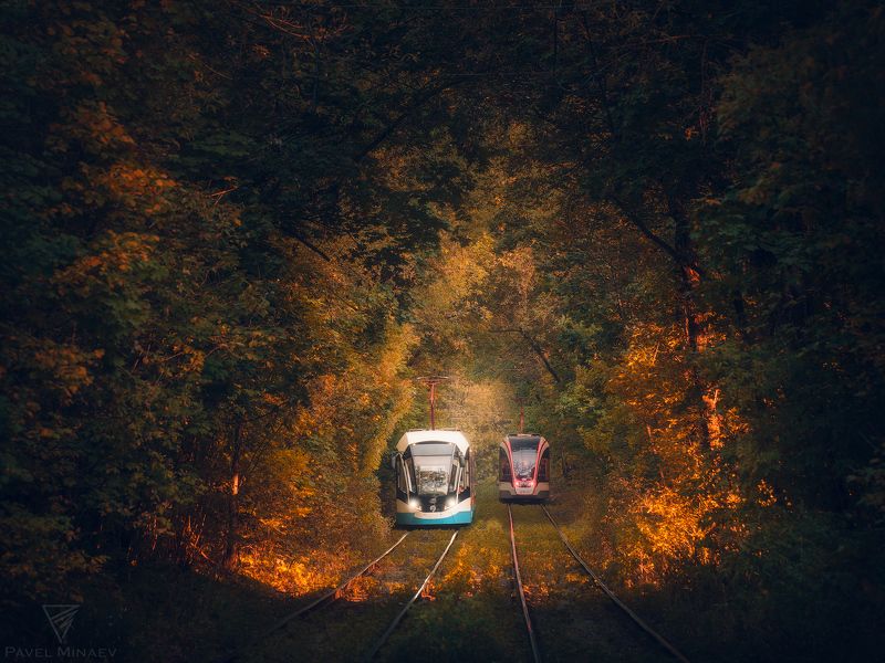 В сказке фото превью