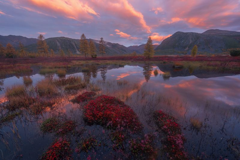 озероджекалондона, колыма, магадан Осенние краски рассвета на Колыме.  Озеро Джека Лондона фото превью