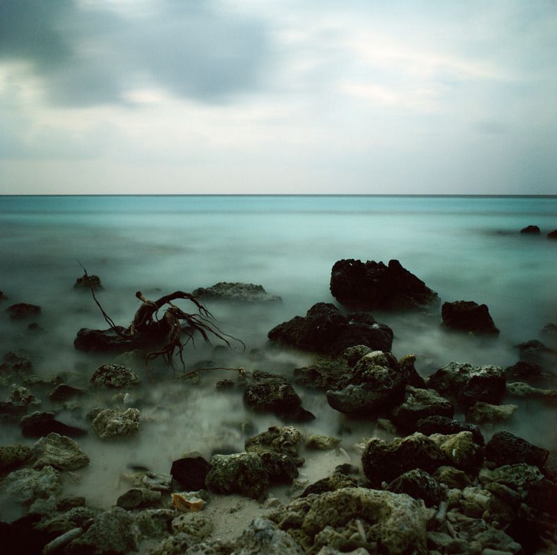 bronica sq-a, bronica, sq-a, zenzabronica, film, плёнка, medium format, m-format, middle, 120 film, 6x6, 120mm, средний формат,   фото превью