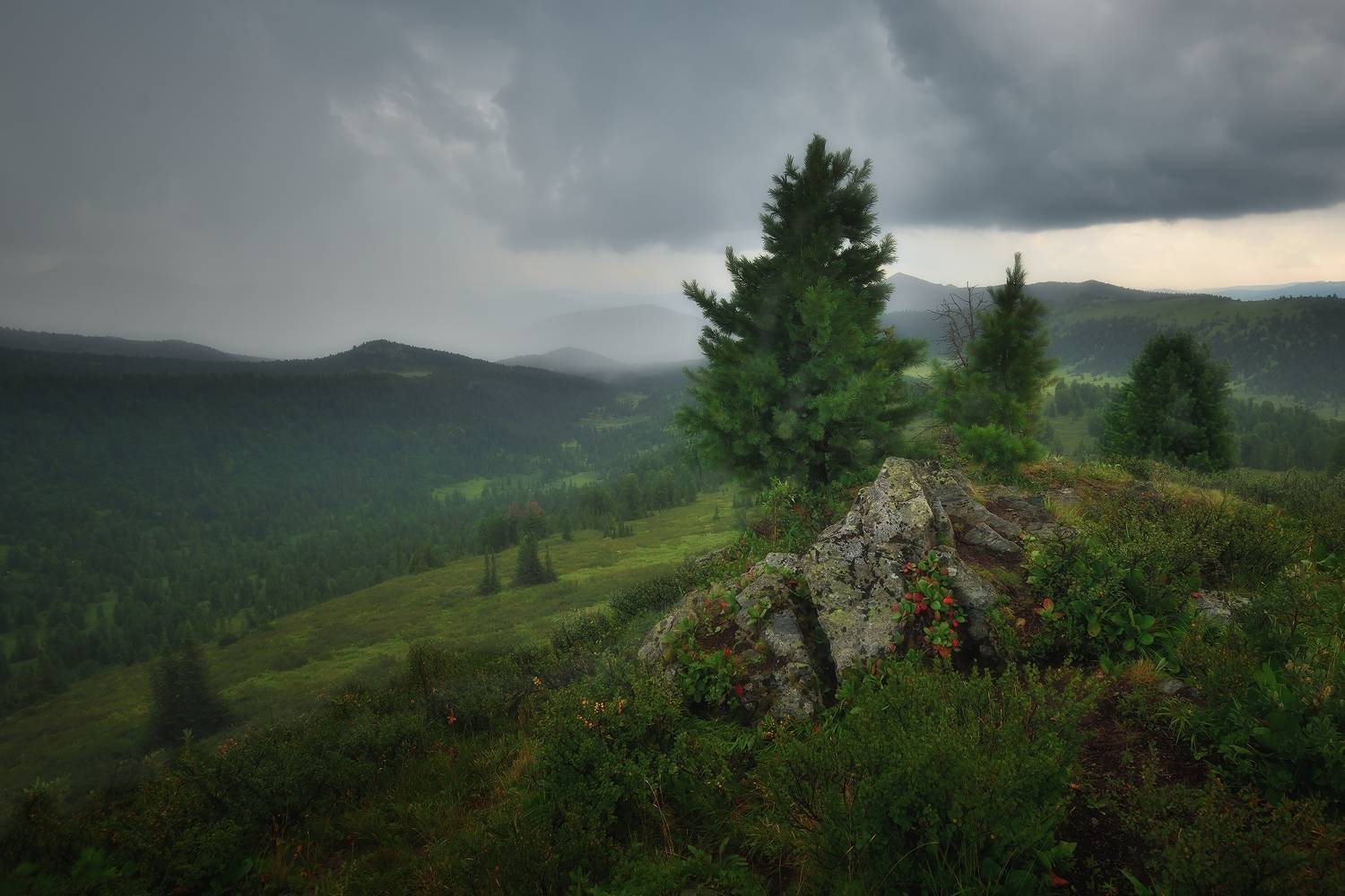 , Алексей Никонов