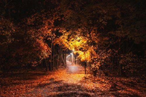 Золотая осень