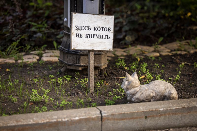 Предупреждение в Дивеевском женском монастыре фото превью