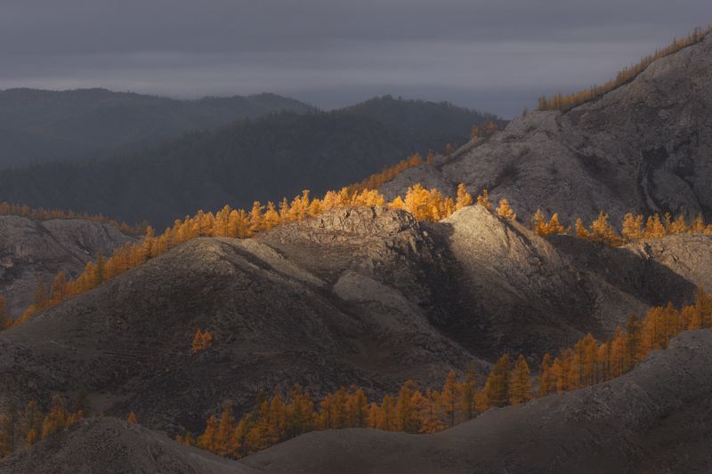 Ритмы осеннего Алтая фото превью