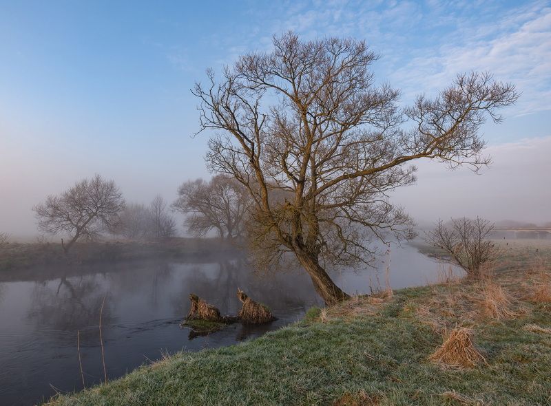 утро свислочь, пейзаж *** фото превью