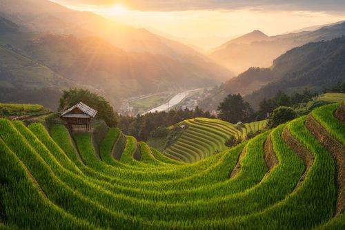 Му Кан Чай / Mu Cang Chai