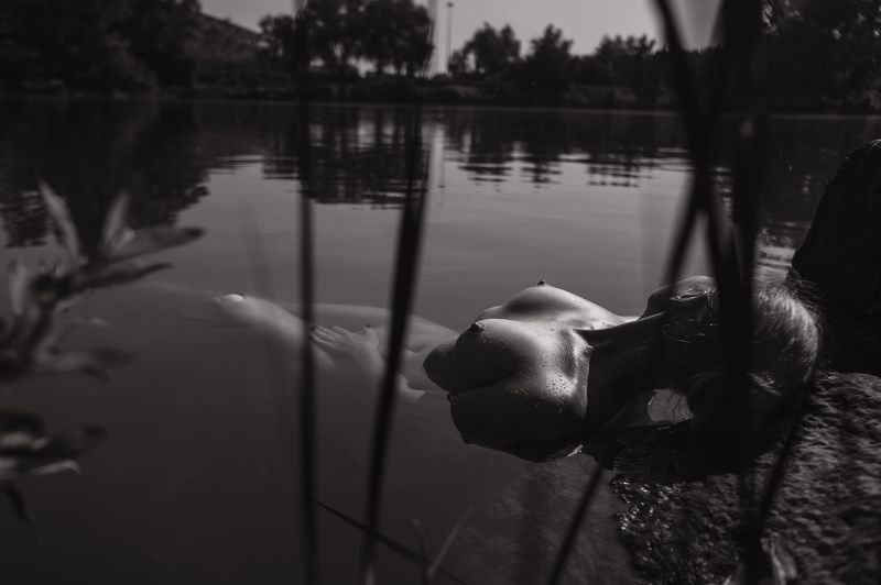 вода, озеро, русалка, чб, купание, ню, эротика русалка фото превью