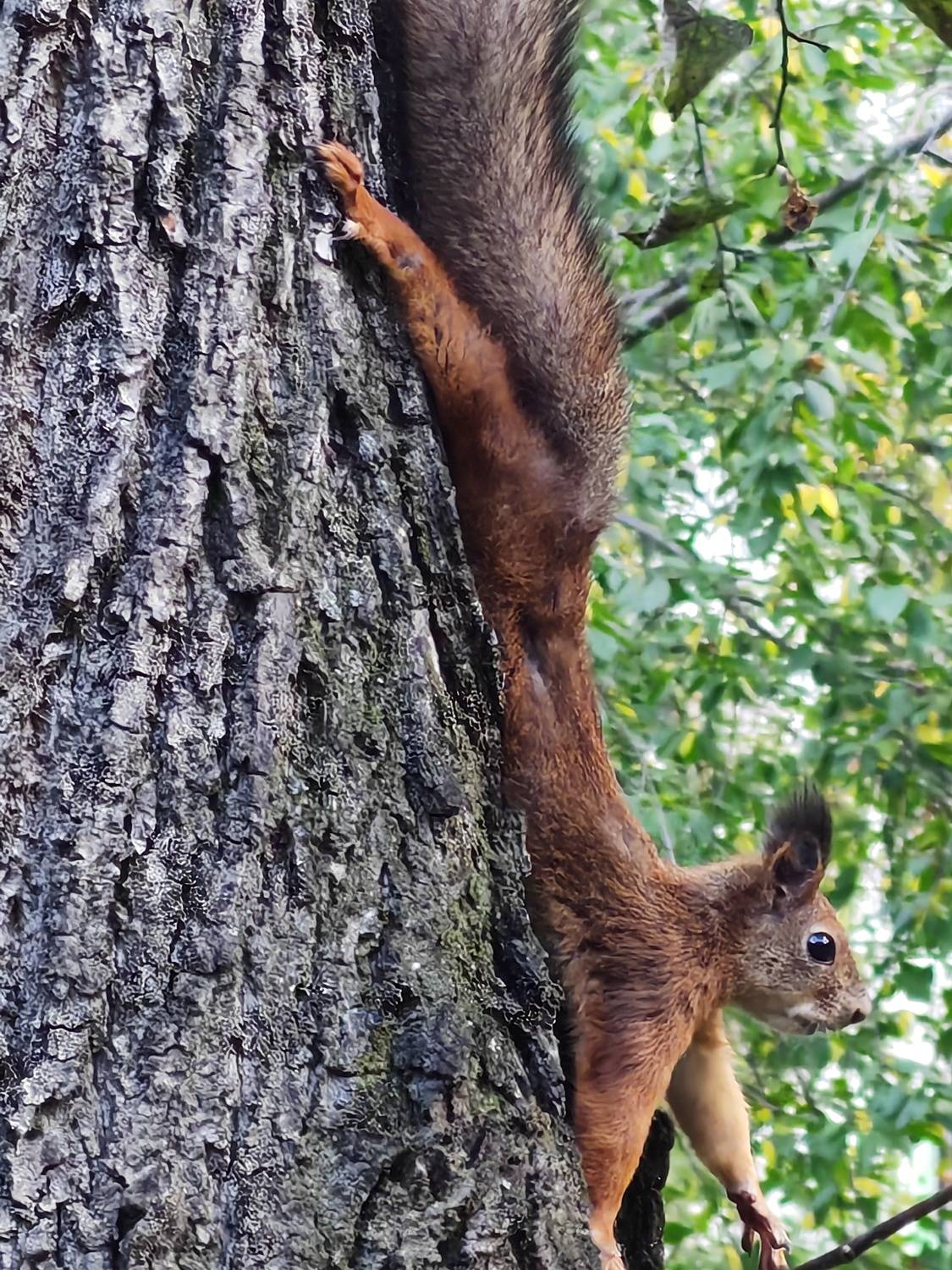 , Ольга Лукахина