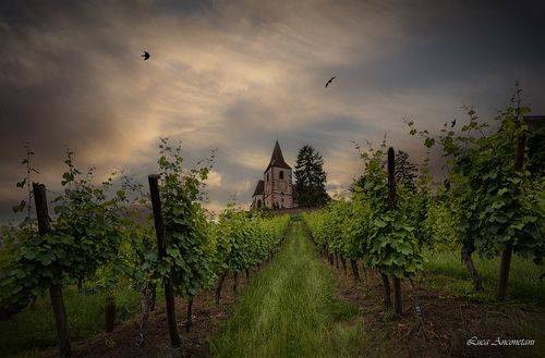 Alsace