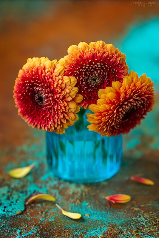 *** фото превью