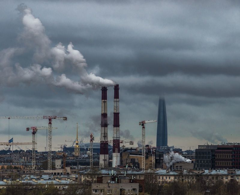 Серый Питер фото превью