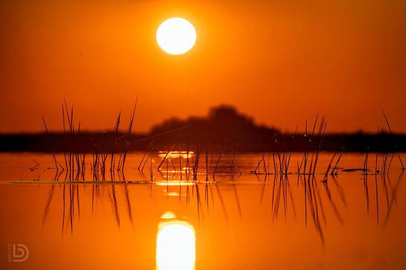 подлипье, пейзаж, закат Чудской закат фото превью