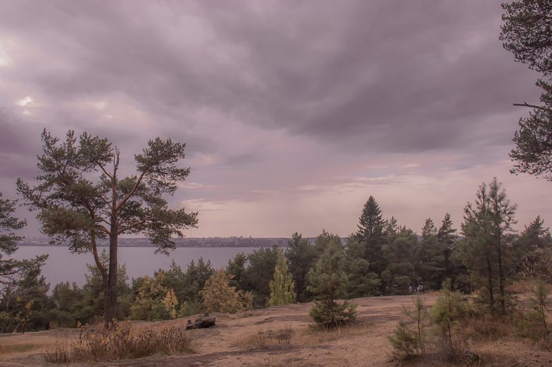 Вид на Петрозаводск фото превью
