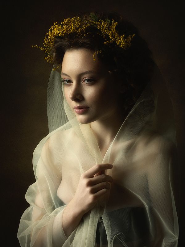 Мимоза фото превью