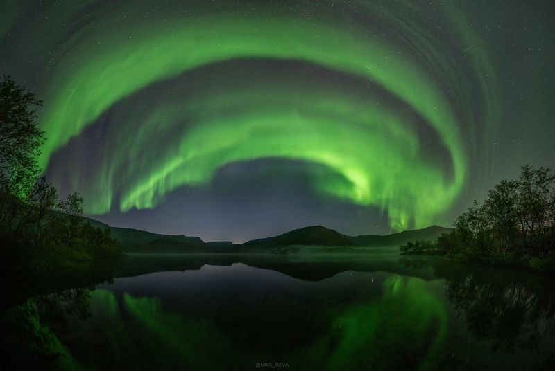 Зеленый змий фото превью