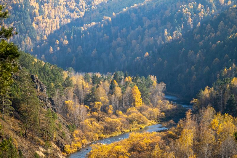 золотая осень, лес, природа, походы Встречаем золотую осень! фото превью