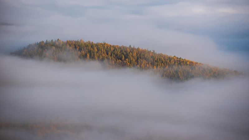 утро,  туман, краски, осень, горы, тайга, золото, долина Золотые дерева кисельные берега фото превью