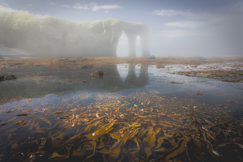 Таинства острова Симушир фото превью