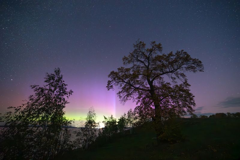 *** фото превью