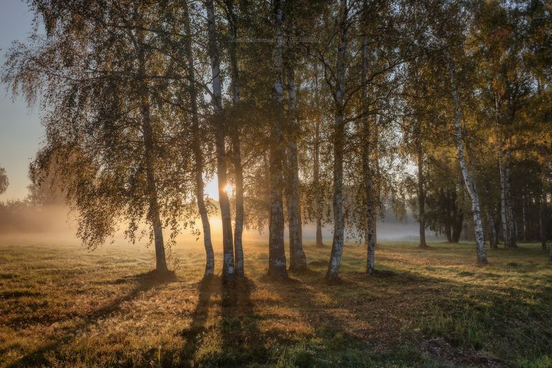 павловский парк, павловск, павловский, пейзаж, landscape, nature, санкт-петербург, питер, царское село, animal Сентябрь в Павловском парке фото превью