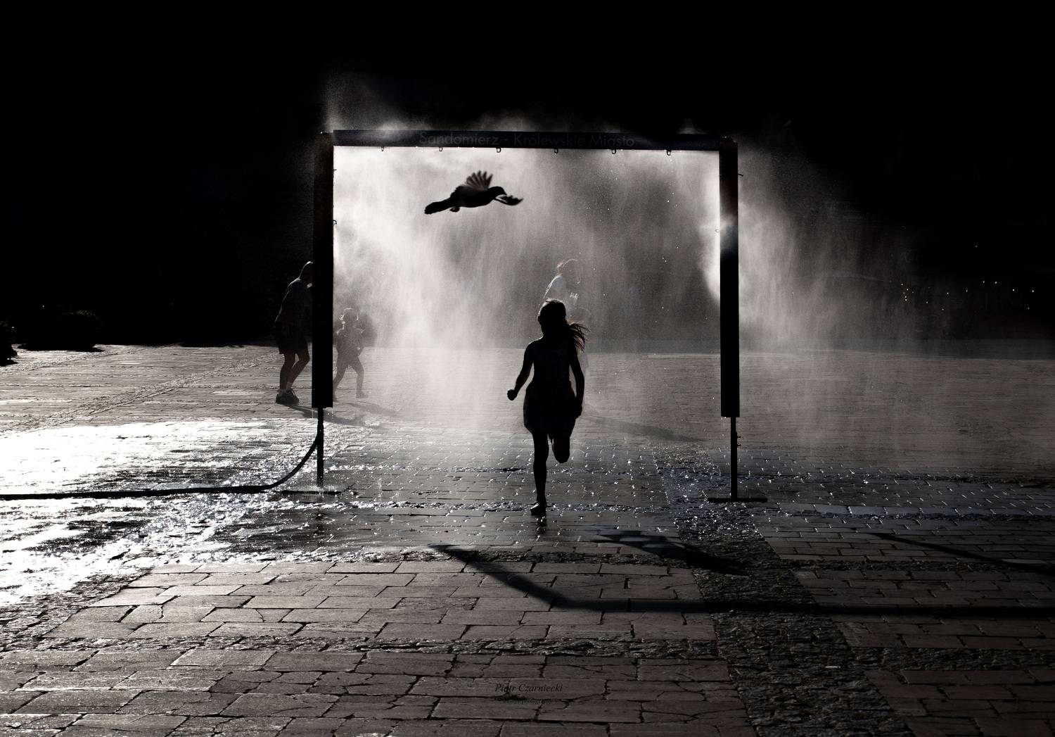 Black & White, girl, child, water, city, light, PIOTR CZARNIECKI