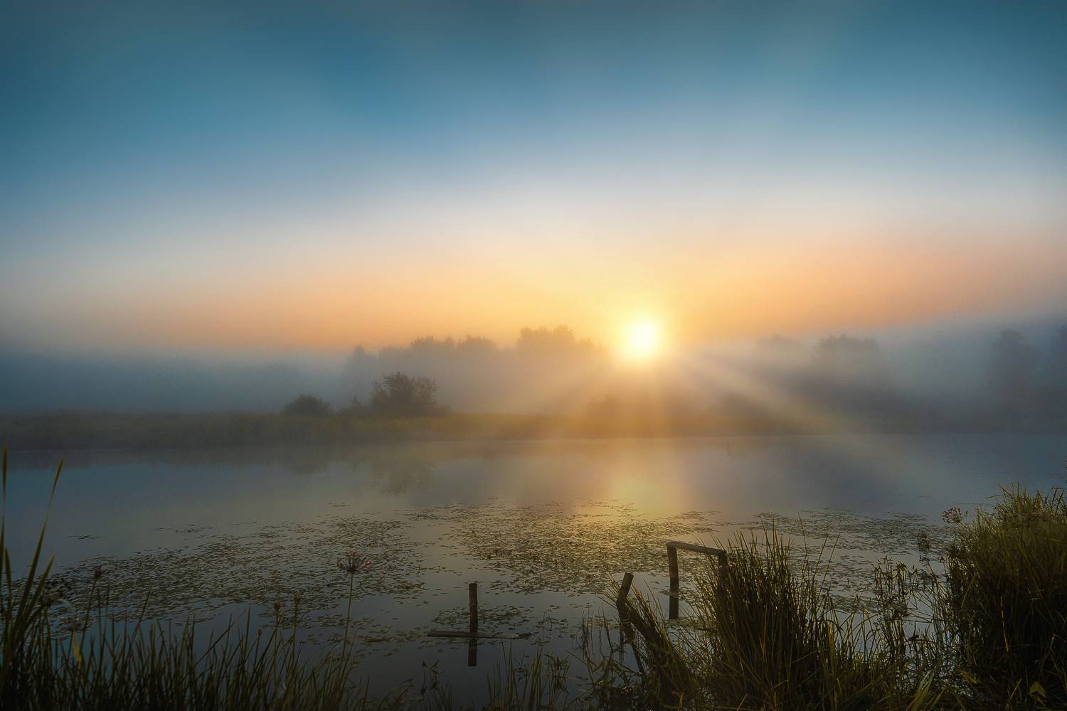 , PYATNITSKIY ANDREY