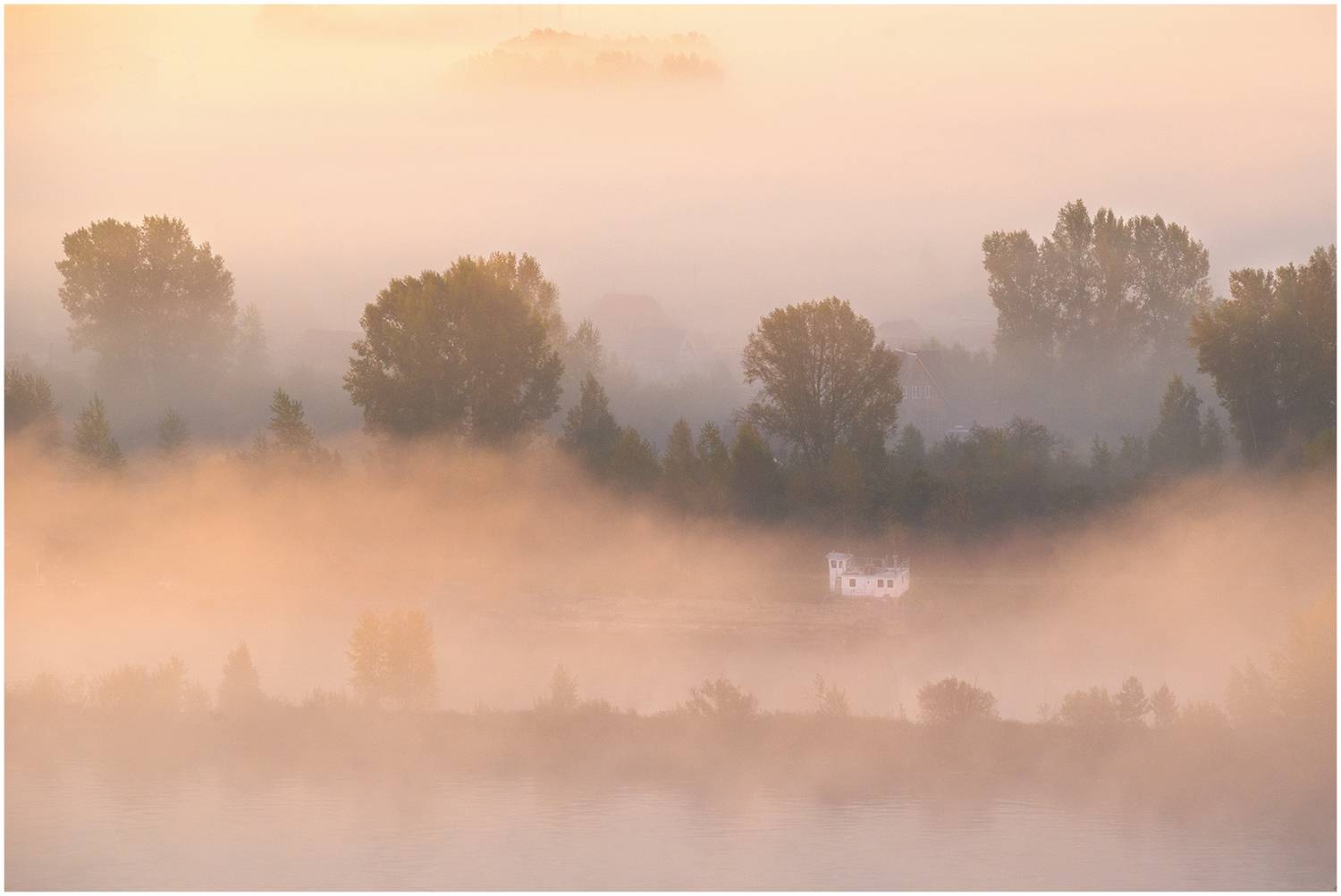 туман, Зорин Дмитрий
