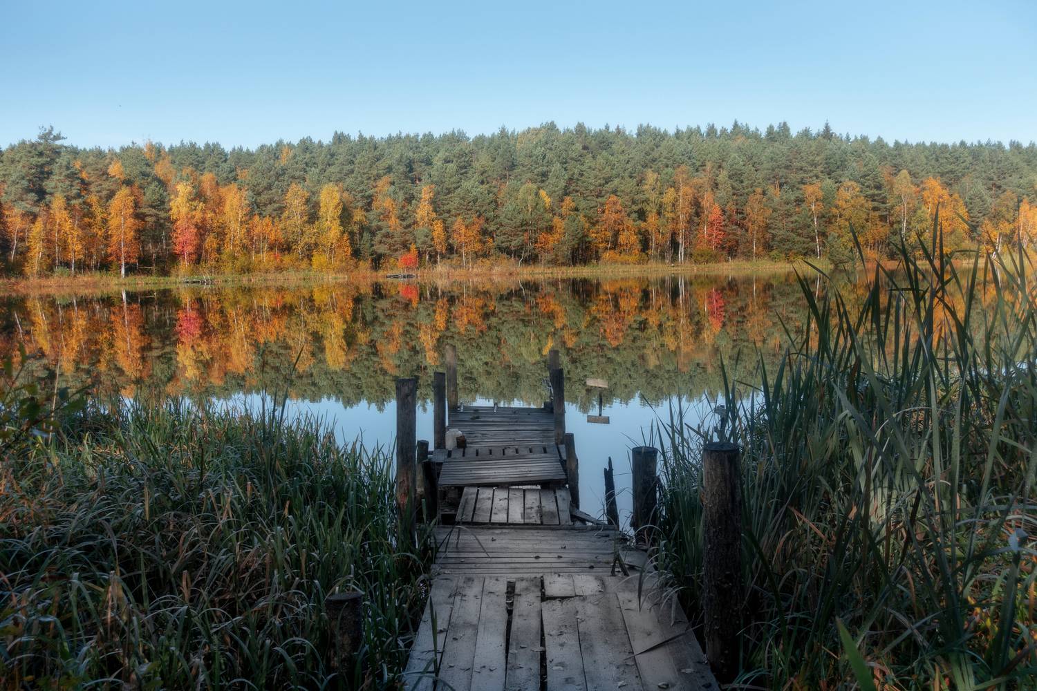 , Игорь Денисов