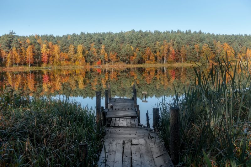 ******** фото превью