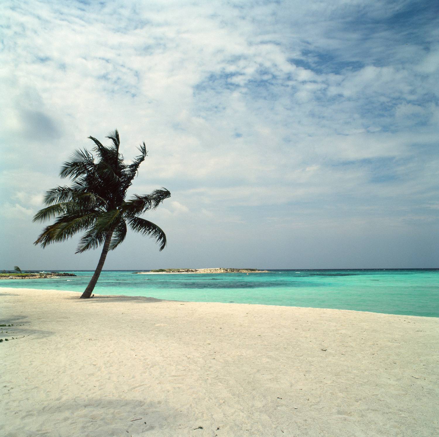 bronica sq-a, bronica, sq-a, zenzabronica, film, плёнка, medium format, m-format, middle, 120 film, 6x6, 120mm, средний формат, Kodak, Ektachrome, E100, Ektachrome E100, Kodak Ektachrome E100, Попов Алексей