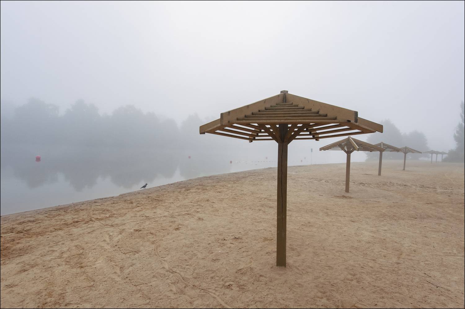 , Георгий Сапожников