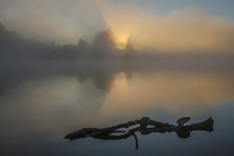 утро, рассвет, архангельское Краски рассвета фото превью