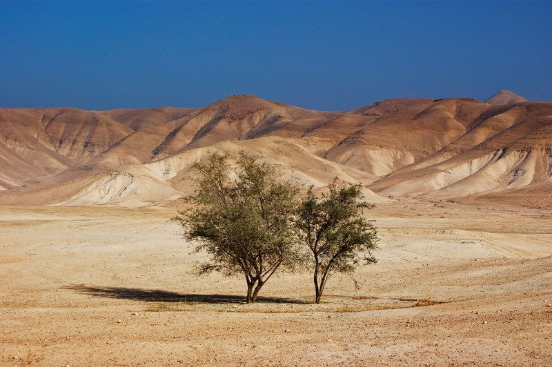 The Jordan Valley фото превью
